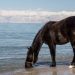 Kirgistan / Damian Wojciechowski