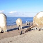 Kirgistan / Damian Wojciechowski