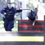 08.10.2021 Kielce. Pies policyjny Kajman z przewodnikiem asp. sztab. Mariuszem Pawłowskim / Jarosław Kubalski / Radio Kielce