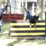 08.10.2021 Kielce. Pies policyjny Kajman z przewodnikiem asp. sztab. Mariuszem Pawłowskim / Jarosław Kubalski / Radio Kielce