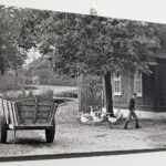 07.10.2021 Kielce.Galeria "U Strasza" w WDK. Wystawa zdjęć Andrzeja Łady / Jarosław Kubalski / Radio Kielce