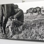 07.10.2021 Kielce.Galeria "U Strasza" w WDK. Wystawa zdjęć Andrzeja Łady / Jarosław Kubalski / Radio Kielce