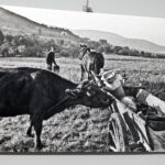 07.10.2021 Kielce.Galeria "U Strasza" w WDK. Wystawa zdjęć Andrzeja Łady / Jarosław Kubalski / Radio Kielce