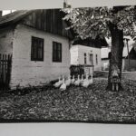 07.10.2021 Kielce.Galeria "U Strasza" w WDK. Wystawa zdjęć Andrzeja Łady / Jarosław Kubalski / Radio Kielce