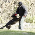 Fot. Jarosław Kubalski - Radio Kielce