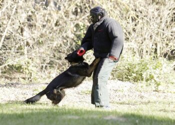 Fot. Jarosław Kubalski - Radio Kielce