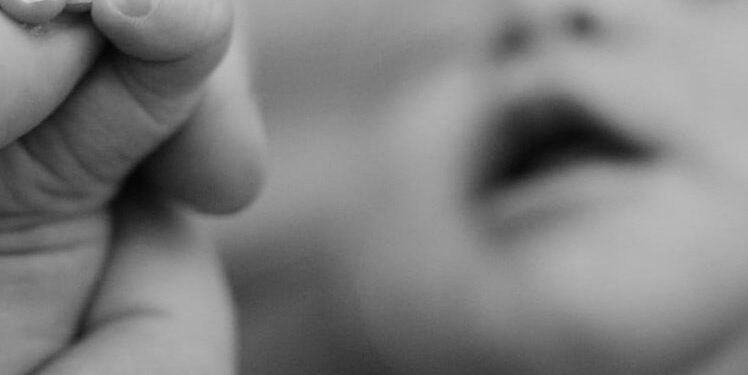 Fundacji „Dajemy Wybór”