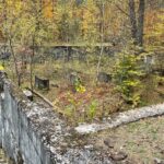 24.10.2021. Niwki Daleszyckie. Pozostałości niemieckiego tartaku / Dionizy Krawczyński / Radio Kielce