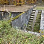 24.10.2021. Niwki Daleszyckie. Pozostałości niemieckiego tartaku / Dionizy Krawczyński / Radio Kielce