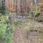 24.10.2021. Niwki Daleszyckie. Pozostałości niemieckiego tartaku / Dionizy Krawczyński / Radio Kielce