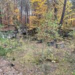 24.10.2021. Niwki Daleszyckie. Pozostałości niemieckiego tartaku / Dionizy Krawczyński / Radio Kielce