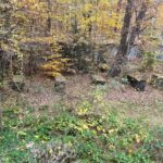 24.10.2021. Niwki Daleszyckie. Pozostałości niemieckiego tartaku / Dionizy Krawczyński / Radio Kielce