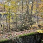 24.10.2021. Niwki Daleszyckie. Pozostałości niemieckiego tartaku / Dionizy Krawczyński / Radio Kielce