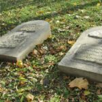 Opatów. Cmentarz żydowski. Macewy / Fot. Emilia Sitarska - Radio Kielce