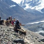 Kirgistan / Damian Wojciechowski