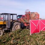 26.10.2021. Działoszyce. Wypadek podczas prac polowych / PSP