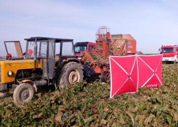26.10.2021. Działoszyce. Wypadek podczas prac polowych / PSP