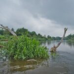 23.10.2021. Muzyczne podróże. Kajakiem po rzekach w Polsce. Pilica / Bartek Szaro