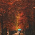 Fotografia nagrodzona w konkursie „Kielce w pionie” / Przemysław Sękowski