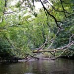 23.10.2021. Muzyczne podróże. Kajakiem po rzekach w Polsce. Wieprza / Bartek Szaro