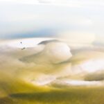 23.10.2021. Muzyczne podróże. Kajakiem po rzekach w Polsce. Wisła / Bartek Szaro