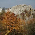 02.10.2021. Kielce. Jesienne liście / Wiktor Taszłow / Radio Kielce