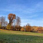 Fot. Dionizy Krawczyński - Radio Kielce