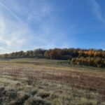 28.10.2021. Zajączków. Najstarsza wieś w gminie Piekoszów / Dionizy Krawczyński / Radio Kielce