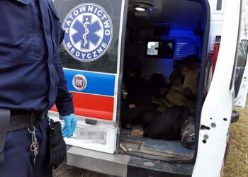 policja