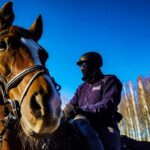 22.11.2021. Granica polsko-białoruska. Policyjne tandemy strzegące granicy / KPP Hajnówka