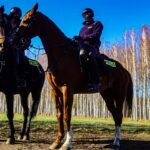 22.11.2021. Granica polsko-białoruska. Policyjne tandemy strzegące granicy / KPP Hajnówka