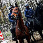 22.11.2021. Granica polsko-białoruska. Policyjne tandemy strzegące granicy / KPP Hajnówka