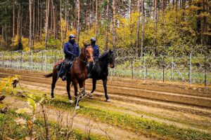 22.11.2021. Granica polsko-białoruska. Policyjne tandemy strzegące granicy / KPP Hajnówka