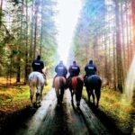 22.11.2021. Granica polsko-białoruska. Policyjne tandemy strzegące granicy / KPP Hajnówka