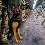 26.11.2021. Granica polsko-białoruska. Oddział specjalsów na patrolu / KPP Hajnówka