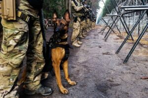26.11.2021. Granica polsko-białoruska. Oddział specjalsów na patrolu / KPP Hajnówka