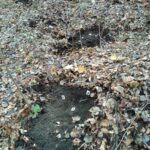 16.11.2021. Starachowice. Elementy samolotu odnalezione przez Artura Polańskiego / Muzeum Przyrody i Techniki w Starachowicach