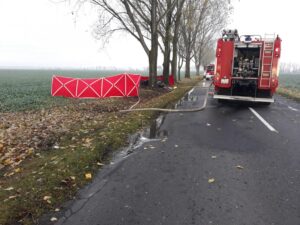 03.11.2021. Śmierć podróżnych po uderzeniu w drzewo / KP PSP w Kościanie