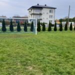 Boisko w Linowie / Dariusz Małecki