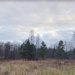 Barwinek - miejsce bitwy / google.com