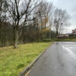 22.11.2021. Opatów. Miejsce planowanej alei / Emilia Sitarska / Radio Kielce