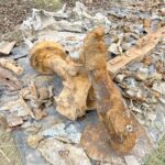 15.11.2021. Czyżów Szlachecki. Wydobycie wraku samolotu Ił-2 / Emilia Sitarska / Radio Kielce