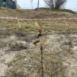 Fot. Anna Głąb - Radio Kielce