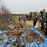 15.11.2021. Czyżów Szlachecki. Wydobycie wraku samolotu Ił-2 / Emilia Sitarska / Radio Kielce