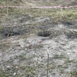 15.11.2021. Starachowice. Miejska winnica / Anna Głąb / Radio Kielce