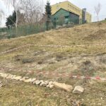 15.11.2021. Starachowice. Miejska winnica / Anna Głąb / Radio Kielce