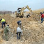 15.11.2021. Czyżów Szlachecki. Wydobycie wraku samolotu Ił-2 / Emilia Sitarska / Radio Kielce