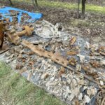 15.11.2021. Czyżów Szlachecki. Wydobycie wraku samolotu Ił-2 / Emilia Sitarska / Radio Kielce