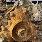 16.11.2021. Czyżów Szlachecki. Wydobycie wraku samolotu szturmowego Ił-2 / Grażyna Szlęzak-Wójcik / Radio Kielce