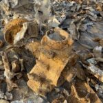 16.11.2021. Czyżów Szlachecki. Wydobycie wraku samolotu szturmowego Ił-2 / Grażyna Szlęzak-Wójcik / Radio Kielce